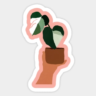 Monstera Sticker